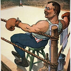 PRESIDENT NOMINATION, 1904. Terrible Teddy waits for the Unknown. Theodore Roosevelt confidently awaits the Democratic nominee for the presidency in 1904. Cartoon by Joseph Keppler, Jr
