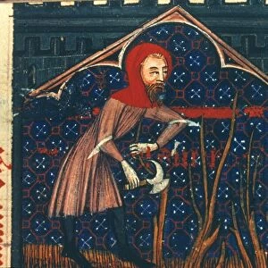 PRUNING GRAPE VINES in March: illumination from a late 14th century French psalter