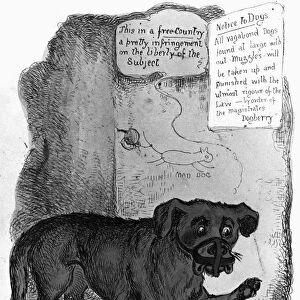 RABIES CARTOON, c1890. Hydrophobia. A muzzled dog complaining about rabies vaccination, developed by Louis Pasteur in 1885. Contemporary English cartoon