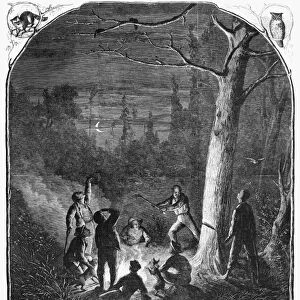 RACCOON HUNTERS, 1867. Men chopping down a tree so that their dogs can catch the raccoons in it
