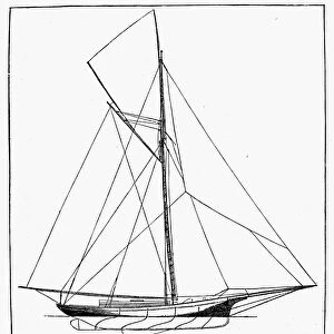 The Regina, showing a centerboard cabin sloop with double head-sail. Line engraving, American, 1882