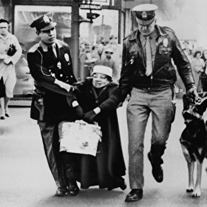 RICHMOND: PROTEST, 1960. Policemen with a dog haul a picketer, Ruth Tinsley, away
