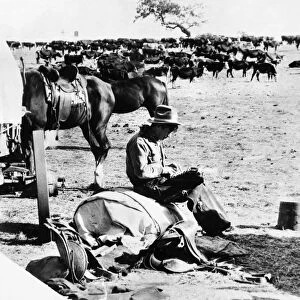 WILL ROGERS (1879-1935). American humorist. Rogers typing on a typewriter on a cattle ranch