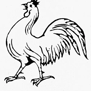 Rooster emblem of the Democratic Party in the 1844 election, in which James Polk defeated Whig, Henry Clay