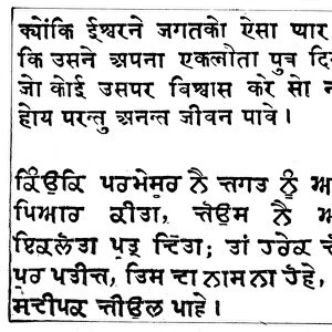 SANSKRIT WRITING. Variant forms of Sanskrit: Hindi (top) and Punjabi (bottom)