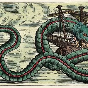 SEA SERPENT, 1555. Sea serpent in the Sea of darkness to the south and west of Europe