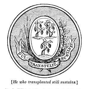 The seal of Connecticut, one of the original Thirteen States, at the time of the American Revolution