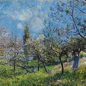 SISLEY: ORCHARD IN SPRING. Oil on canvas, Alfred Sisley, 1881