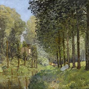 SISLEY: REST, 1878. Rest Along the Stream. Edge of the Wood. Oil on canvas, Alfred Sisley