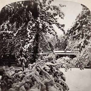 SNOWSTORM, 1862. View of a snowstorm in October. Photograph by Frederick Ferris Thompson