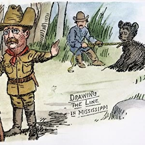 T. Roosevelt: Teddy Bear