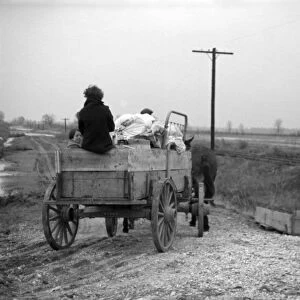 TENNESSEE: FLOOD, 1937. A family on the move in Ridgely, Tennessee during the flooding