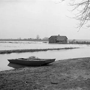 TENNESSEE: FLOOD, 1937. Flooded farmland near Ridgely, Tennessee during the flooding