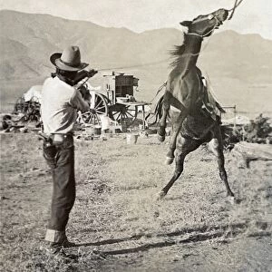 TEXAS: COWBOY, c1910. A cowboy holding a rope around the neck of a bucking bronco on a ranch in Texas. Photograph by Erwin Evans Smith, c1910