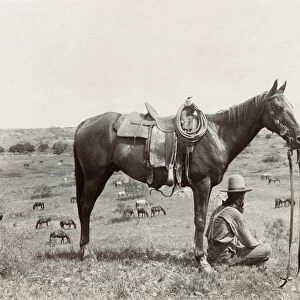 TEXAS: COWBOY, c1910. A horse wrangler seated next to his horse on a hill and looking down at other horses grazing in a field in Texas. Photograph by Erwin Evans Smith, c1910