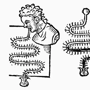 Two thermometers invented by Santorio Sanctorius. Woodcut from his Commentaria, 1625