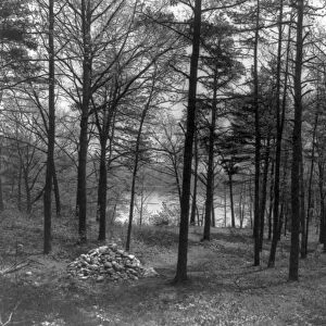 THOREAU: WALDEN POND. Site of Henry David Thoreaus cabin at Walden Pond, Concord, Massachusetts