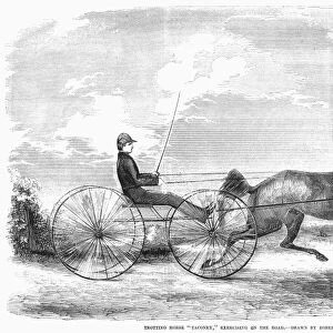 Trotting horse Taconey, exercising on the road. Wood engraving, American, 1853