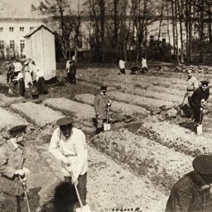 TSARSKOYE SELO, 1917. Tsar Nicholas II, along with his family and staff, working