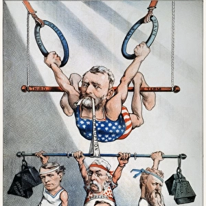 U. s. Grant Cartoon, 1880