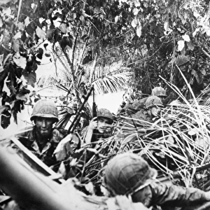 U. S. Marines crouching in the jungle near the beach of Cape Torokina, Bougainville, in Papua New Guinea, during the capture of the island, November 1943
