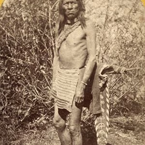 UTE MAN, c1874. A Ute man in the summer in Utah. Photograph by John K. Hillers, c1874