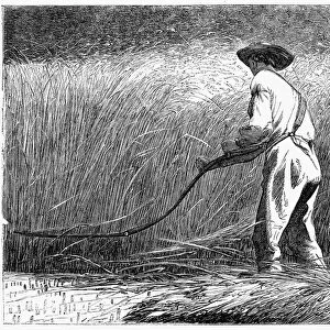 THE VETERAN IN A NEW FIELD. Wood engraving from an American newspaper of 1867, after a painting by Winslow Homer, 1865