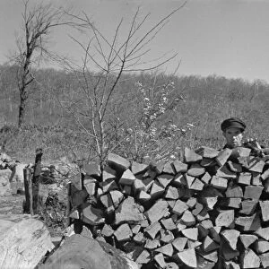 VIRGINIA: WOODPILE, 1935. A man chopping wood in a village in Shenandoah National Park, Virginia