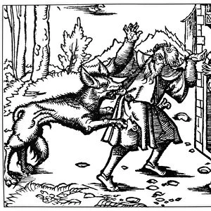 WEREWOLF, 15th CENTURY. Werewolf attacking a man. Woodcut, German, 15th century