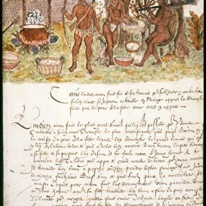 WEST INDIES: ARAWAK INDIANS. Manuscript page believed written by a French member