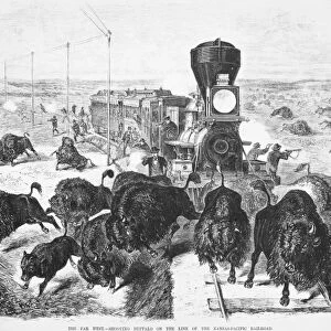 WEST: SHOOTING BUFFALO. The Far West: shooting buffalo on the line of the Kansas-Pacific Railroad. Wood engraving, American, 1871