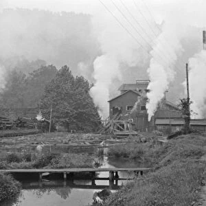 WEST VIRGINIA: SAWMILL, 1938. The Morrison Gross and Company sawmill in Erwin, West Virginia