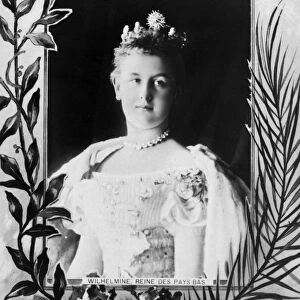 WILHELMINA (1880-1962). Queen of the Netherlands, 1890-1948. Photographed c1900