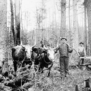 WISCONSIN: LOGGING, 1886. Loggers near Zeda, Jackson County, in central Wisconsin, 1886