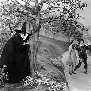 WIZARD OF OZ, 1939. Margaret Hamilton as the Wicked Witch of the West, Judy Garland as Dorothy and Ray Bolger as the Scarecrow
