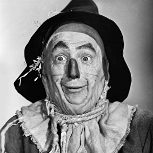 WIZARD OF OZ, 1939. Ray Bolger as the Scarecrow in the 1939 MGM production of The Wizard of Oz
