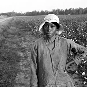 WOMAN IN FIELD, 1935. Woman standing in cotton field, Pulaski County, Arkansas
