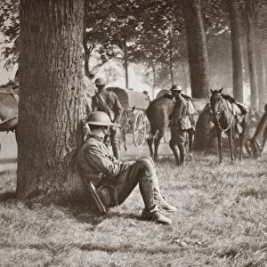 WORLD WAR I: CAVALRY. American cavalrymen taking an afternoon break while convoying