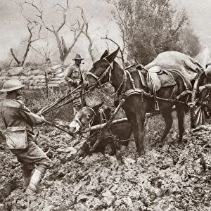 WORLD WAR I: FLANDERS. British troops pushing and pulling a mule team through a