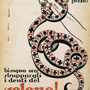 WORLD WAR I: POSTER, 1919. Italian poster