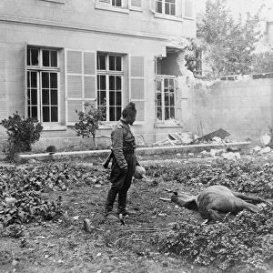 WWI: SOLDIER AND HORSE. A Chasseur d Afrique with his dying horse in Soissons, France