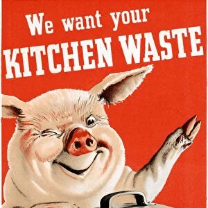 WWII: POSTER, c1943. We want your kitchen waste. Lithograph, c1943
