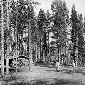 WYOMING: LOG CABIN, c1913. A log cabin in the woods with a marker indicating where U
