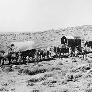 WYOMING: WAGON TRAIN. An emigrant wagon train, Wyoming Territory, c1875
