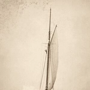YACHT: JUBILEE, 1893. American yacht Jubilee. Photographed 1893