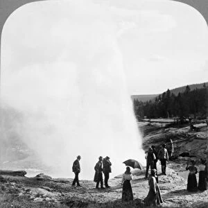 YELLOWSTONE PARK: GEYSER. Spectators watching a geyser eruption in Yellowstone National Park, Wyoming. Stereograph, c1907