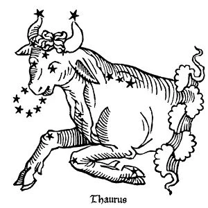 ZODIAC: TAURUS, 1482. Taurus, the bull
