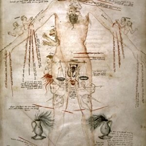 ZODIACAL MAN, 14th CENTURY. Zodiacal Man according to theories of School of Salerno: Hebraeo-French manuscript illumination, 14th century