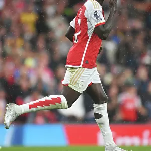 Arsenal's Saka Scores Penalty Kick in Arsenal v Fulham Premier League Clash (2023-24)