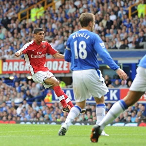 Everton v Arsenal 2009-10